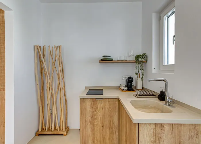 Silver Thea باروس