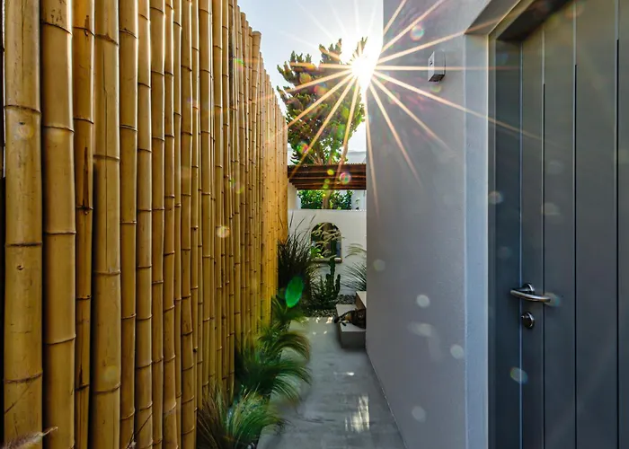 Silver Thea باروس